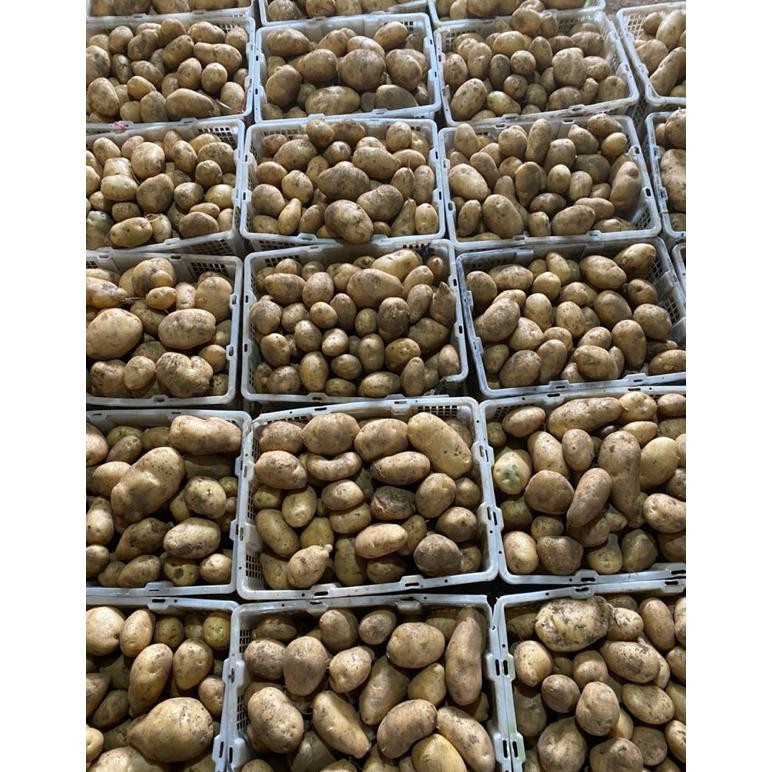 

Eksklusif Kentang Dieng 1Kg