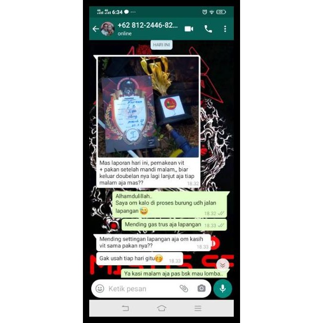 PAKAN LOVEBIRD KONLSET | MILET MISTIS LOVEBIRD SESAJEN PAKAN LOMBA LOVEBIRD