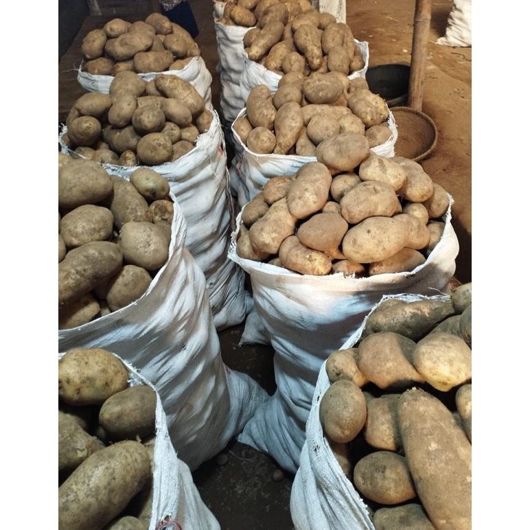 

Original Kentang Dieng Super 1Kg