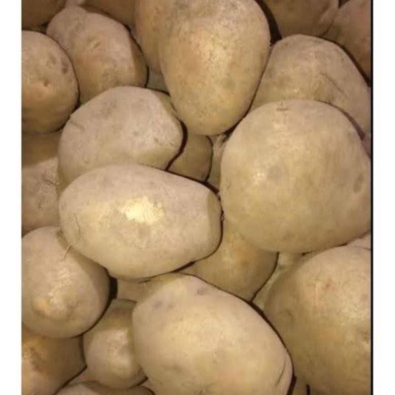 

Paling Laris Kentang Dieng 1Kg Kualitas Terbaik Khas Wonosobo