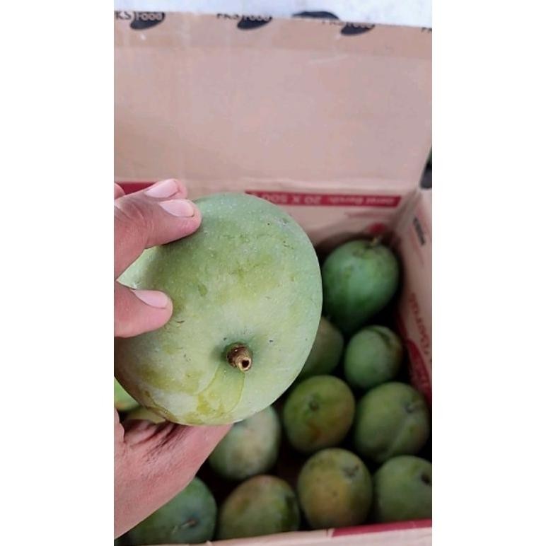 

Efektif Mangga Harumanis Manis Matang Mengkal 1Kg