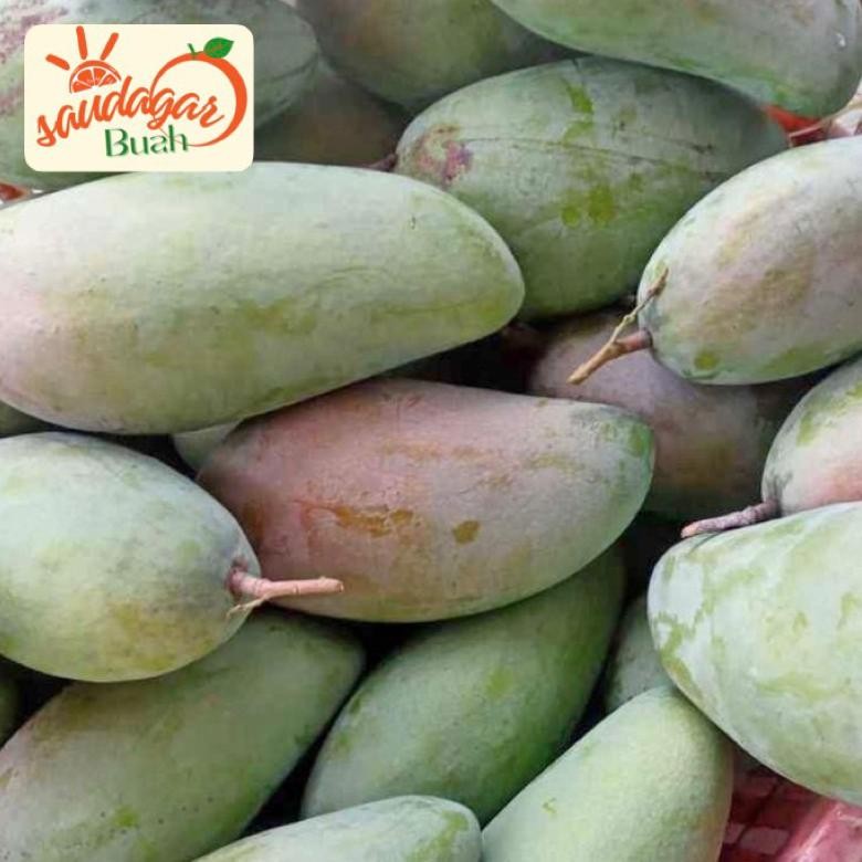 

Waktu Terbatas Buah Mangga Thailand / Mangga Kiojay Mengkel Garing 1Kg