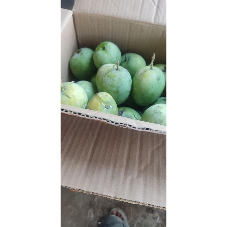 

Premium Mangga To Termanis Murah Per 1Kg Dkirim Mentah