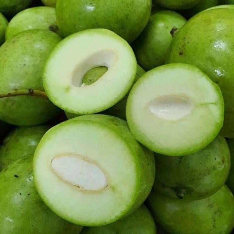 

Good Quality Mangga Muda Fresh / 1Kg