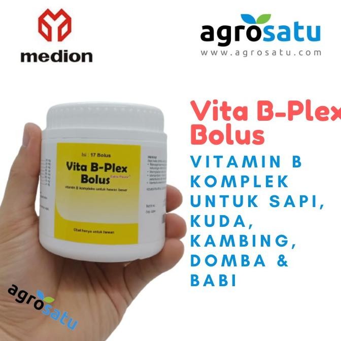 Terlaris Vita B Plex Bolus Vitamin B Komplek Untuk Sapi Kuda Kambing Domba Babi Anti Defisiensi Mult