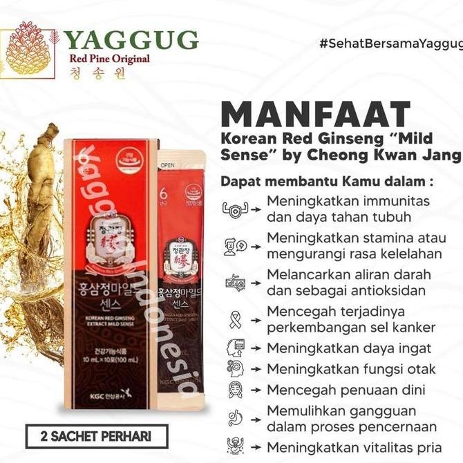 Red Ginseng Korea Extract Mild Sense Jung Kwan Jang 30 Sachet Kualitas Original