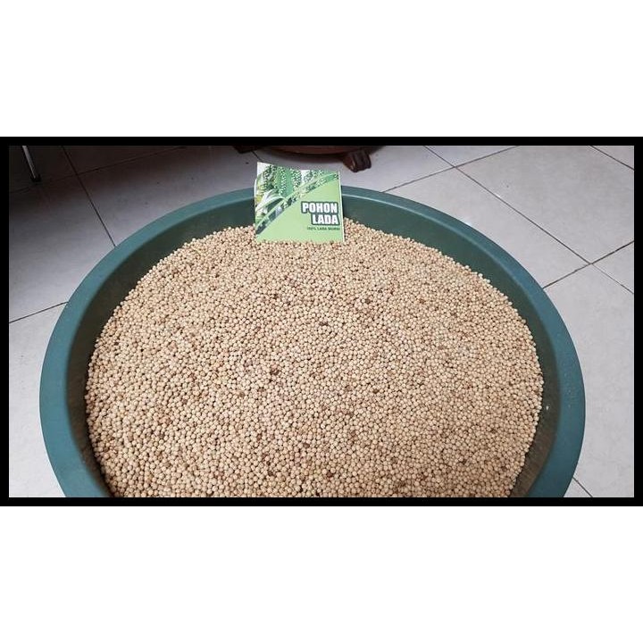 

Terlaris Lada Putih Bangka Premium 1Kg Sudah Digiling Good Quality