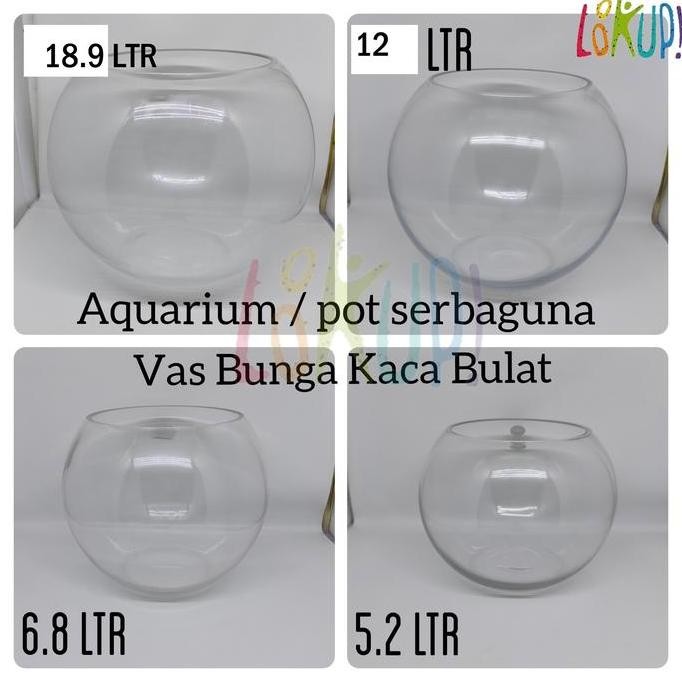 Jumbo Aquarium Bulat/Fish Bowl /Fish Ball/Tempat Ikan/Serbaguna