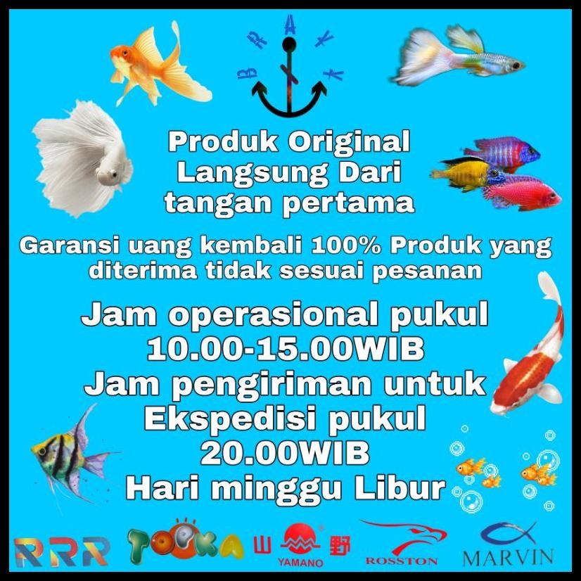 FILTER POMPA KOMPLIT TOP FILTER BOX AQUARIUM 3 IN 1 TOP FILTER SP 1200 GARANSI (BOX LEBIH BESAR)