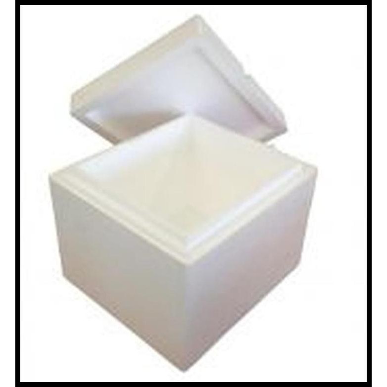

Terlaris Biaya Packing Styrofoam + Ice Good Quality