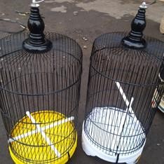 SANGKAR PLECI HELOPED TANGGUNG ALTO EBOD JAYA BESI BULAT ATAP DATAR KANDANG BURUNG KONIN SOGON