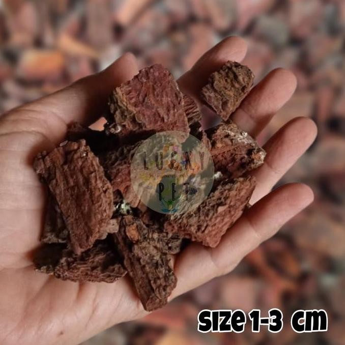 baru Forest bark pine bark kulit kayu pinus cemara media tanam anggrek