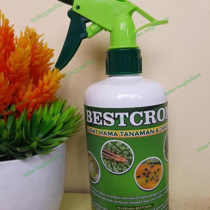 baru Bestcron 500ml obat Pembasmi Hama Ulat,Belalang,Jamur Dan Kutu Putih