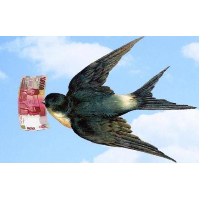 Suara Panggil Walet Luar Piro - Lagu Walet Super Unik New Stok