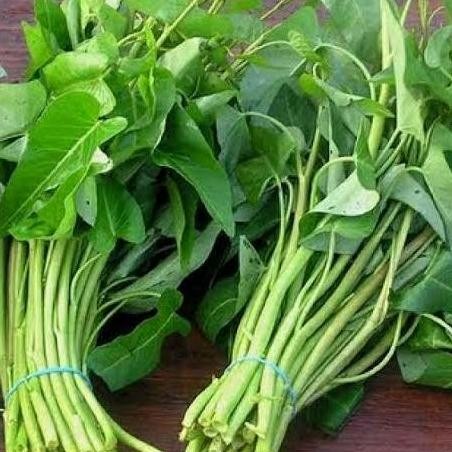 

Sayur Kangkung Segar per Ikat Murah Bandung