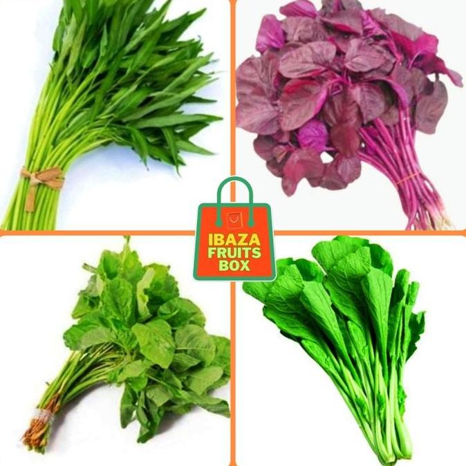 

Sayur Segar Daun Katuk, Bayam Hijau, Bayam Merah, Kangkung, Caysim