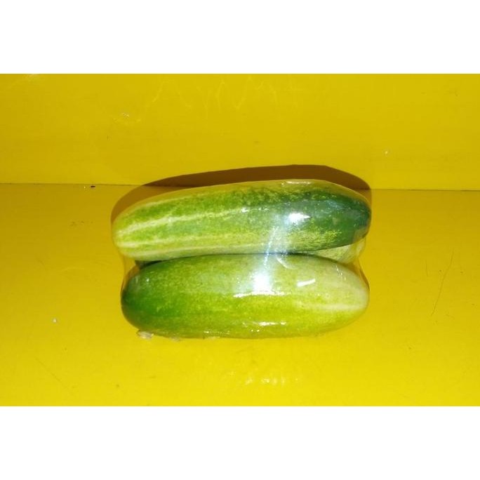 

SAYUR SEGAR Timun 3Pcs