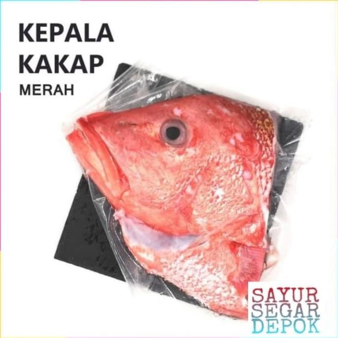 

KEPALA IKAN KAKAP MERAH SEGAR 1 PCS / SAYUR SEGAR DEPOK