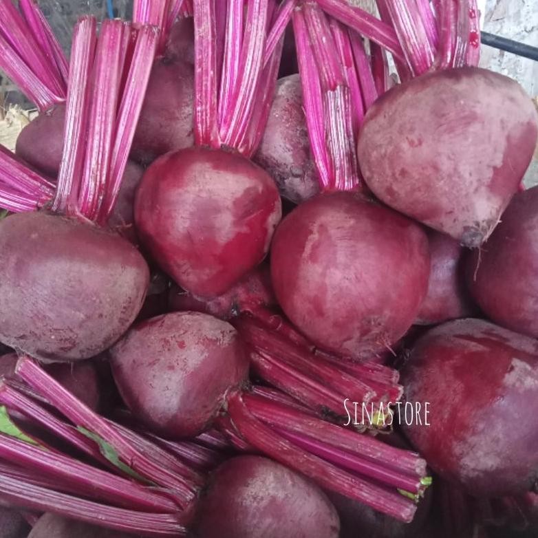 

Buah Bit Fresh 1Kg