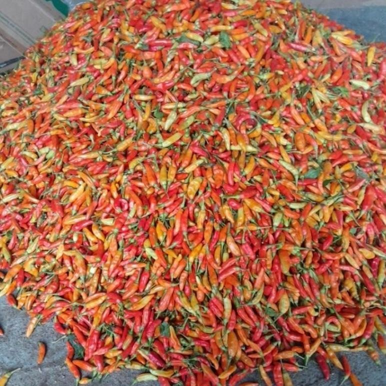 

Cabe Rawit Ori Super500 gr
