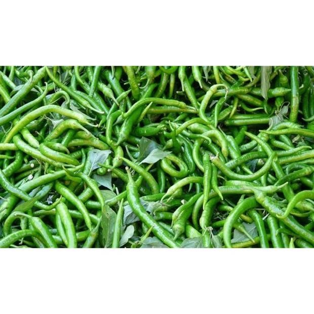 

PASAR ONLINE MURAH - CABE IJO KERITING