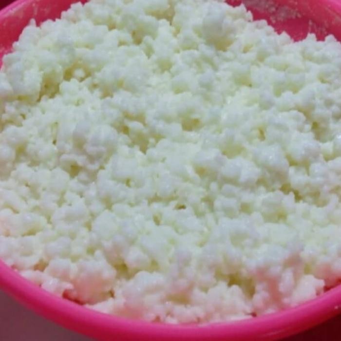 

bibit grain kefir susu Ori!!