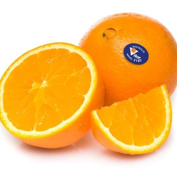 

Fresh Navel Oranges Vitor