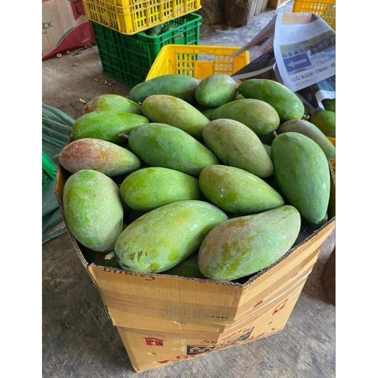 

MANGGA KIOJAY THAILAND 1KG - 1,3KG + BUMBU RUJAK BANGKOK - MENGKEL KRIUK GARING