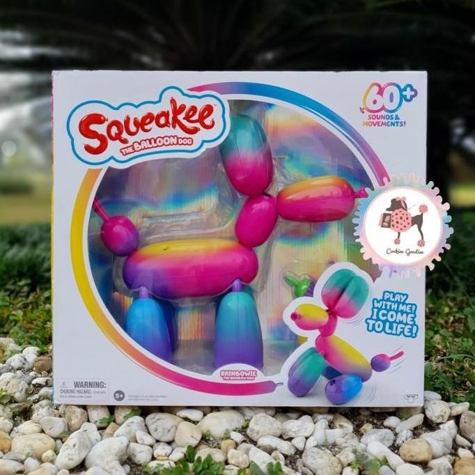 Squeakee Rainbowie the Balloon Dog