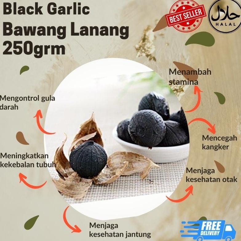 

Bawang Hitam Paket 2 Botol Bawang Hitam Black Garlic Premium Netto 250 Gram Dan 200 Gram