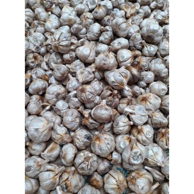 

Black Garlic Bawang Hitam 500 Gram