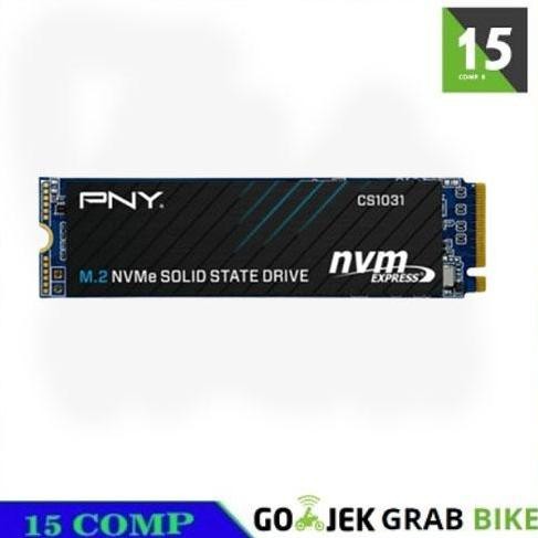 SSD PNY M.2 NVME CS1031 2TB Garansi Resmi - 256 GB