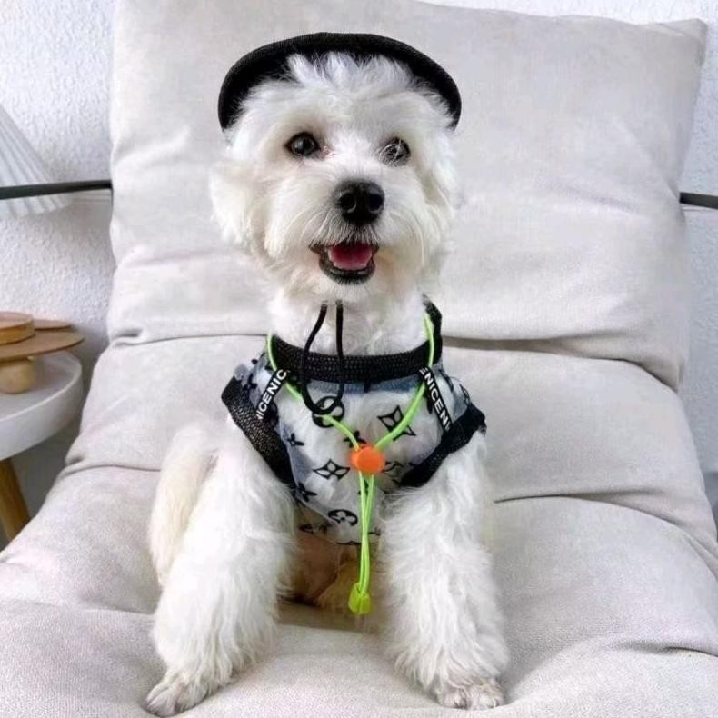 Littlepawty - LV Transparent Top | Baju Anjing Kucing Kaos Sport nded Transparan Premium Tee Dog Cat