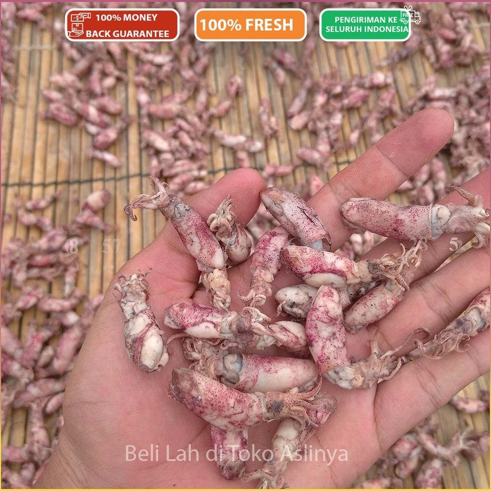 

ready Cumi asin Kering Hemat 80% 500gr - Kemasan Vacuum murah