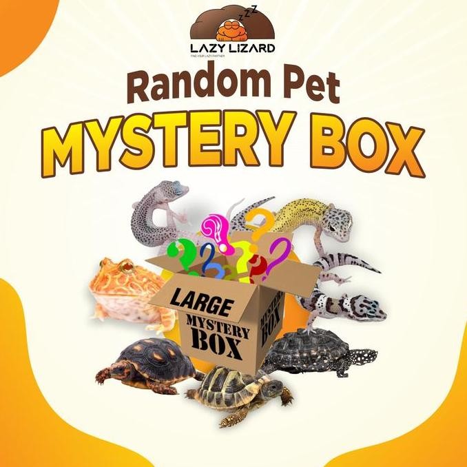 MYSTERY BOX HEWAN PELIHARAAN