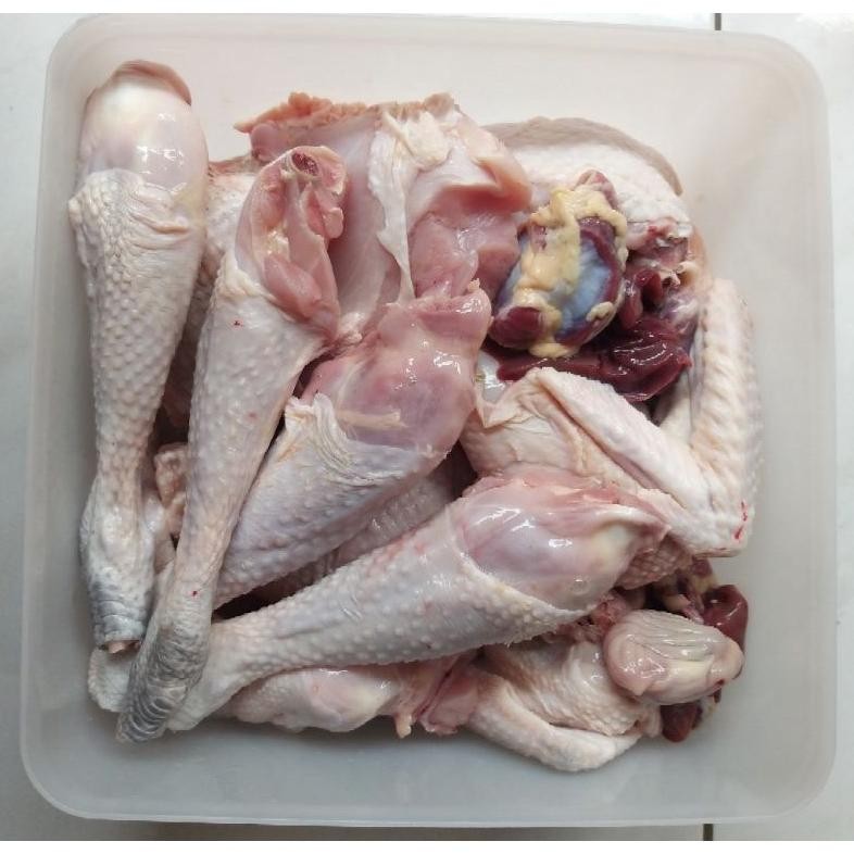 

Ayam Kampung Segar Berbagai Ukuran - Fresh Chicken - Organik & Halal Original
