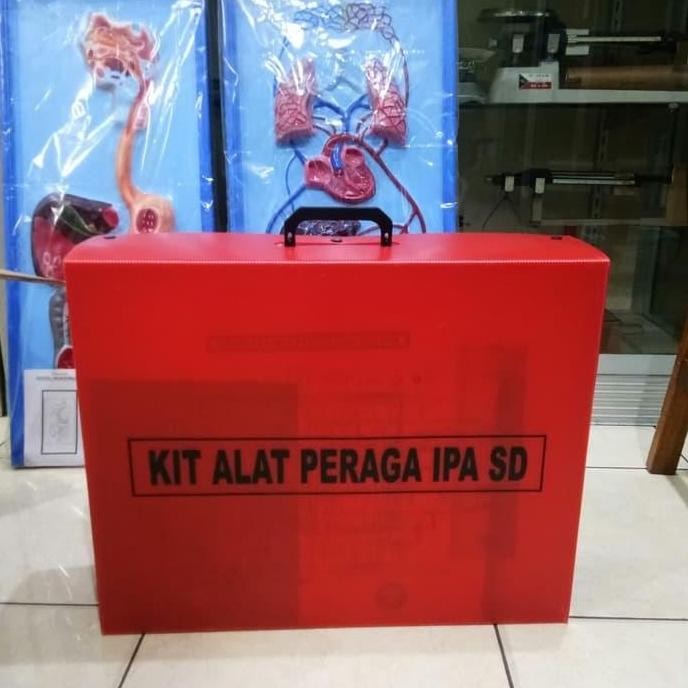 

Kit Ipa Sd, Alat Peraga Pendidikan Kualitas Terbaik Harga Termurah