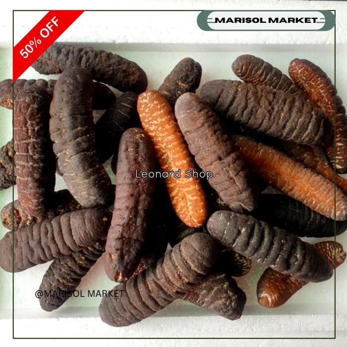 HAISOM BESAR SUPER 100GRAM BANGKA BELITUNG KERING TERIPANG GOSOK GAMAT BERKUALITAS