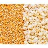 

JUAL JAGUNG POPCORN MENTAH SUPER 1 KG MAKANAN RINGAN SNACK CEMILAN JAJANAN MURAH ENAK RB10