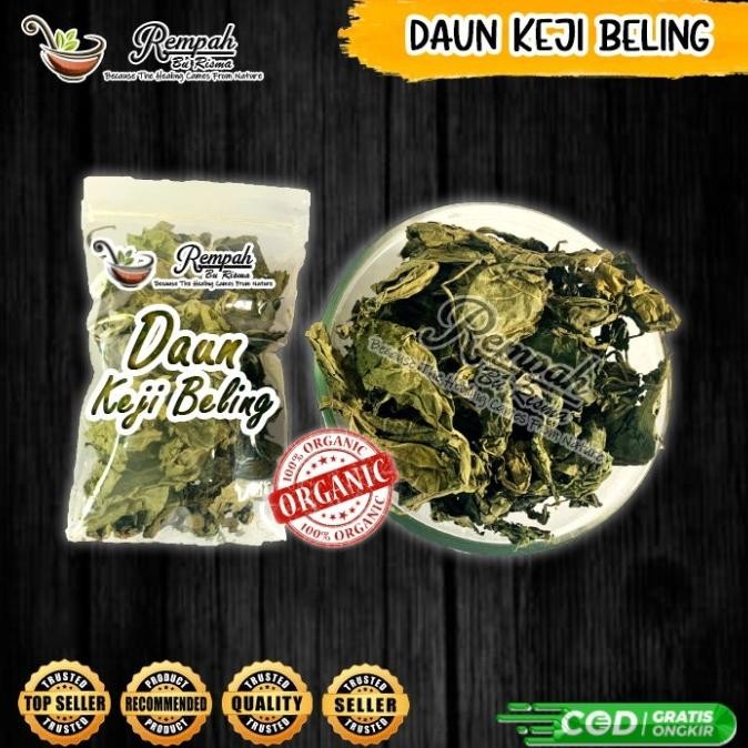 

Daun Keji Beling Kering 250 Gram Rempah Bu Risma RB10