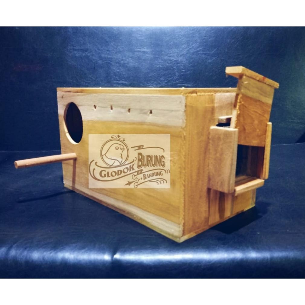 GLODOK PANTAU KACA TEMPAT BERTELOR BURUNG PARROT FALK PARKIT AUSTRALIA KAYU JATI AST
