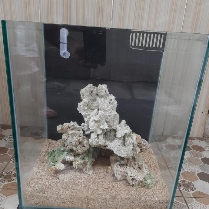 Aquarium Laut Full Set