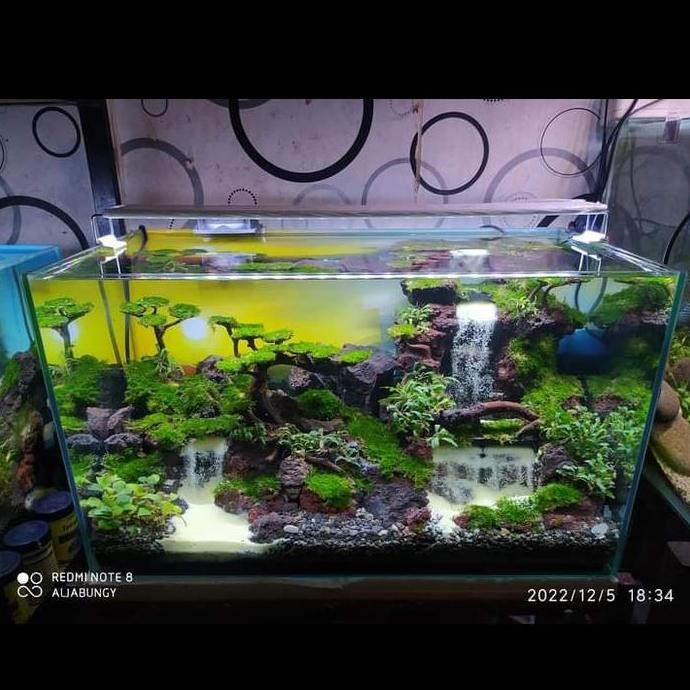 Aquarium Aquascape Full Set