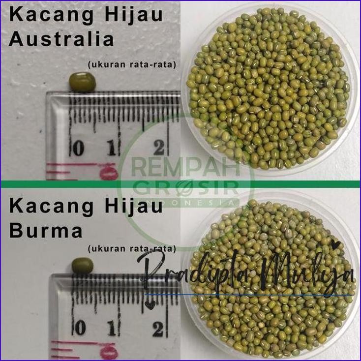 

Masih Ada.! Kacang Hijau Ijo Burma Super Premium 1Kg | 1 Kg Kilo Grosir Termurah