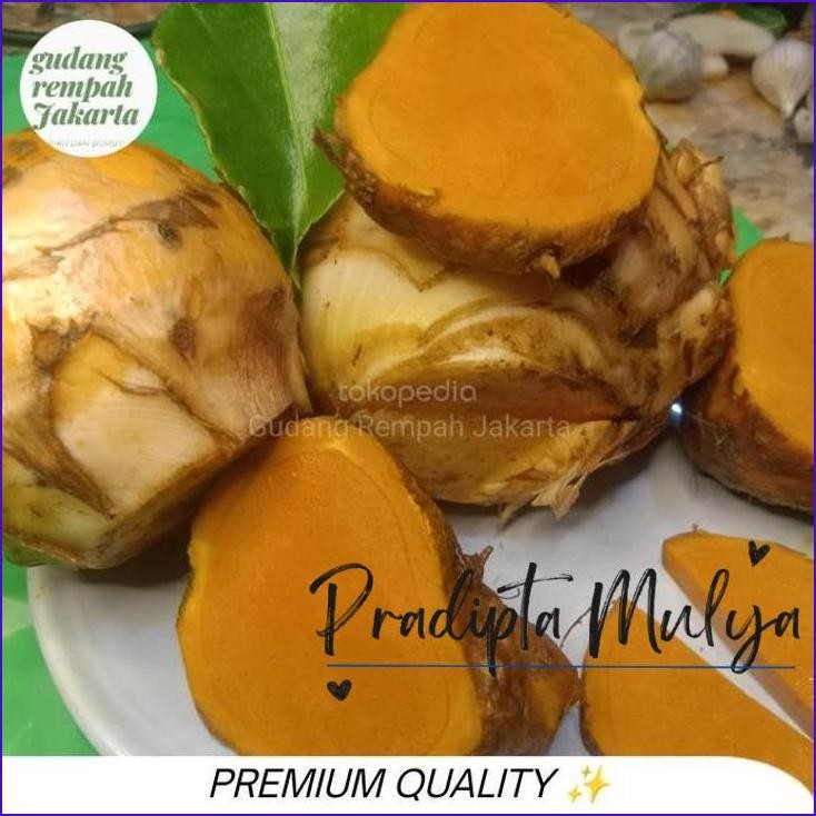 

Stok Ready.! Temulawak 1 Kg