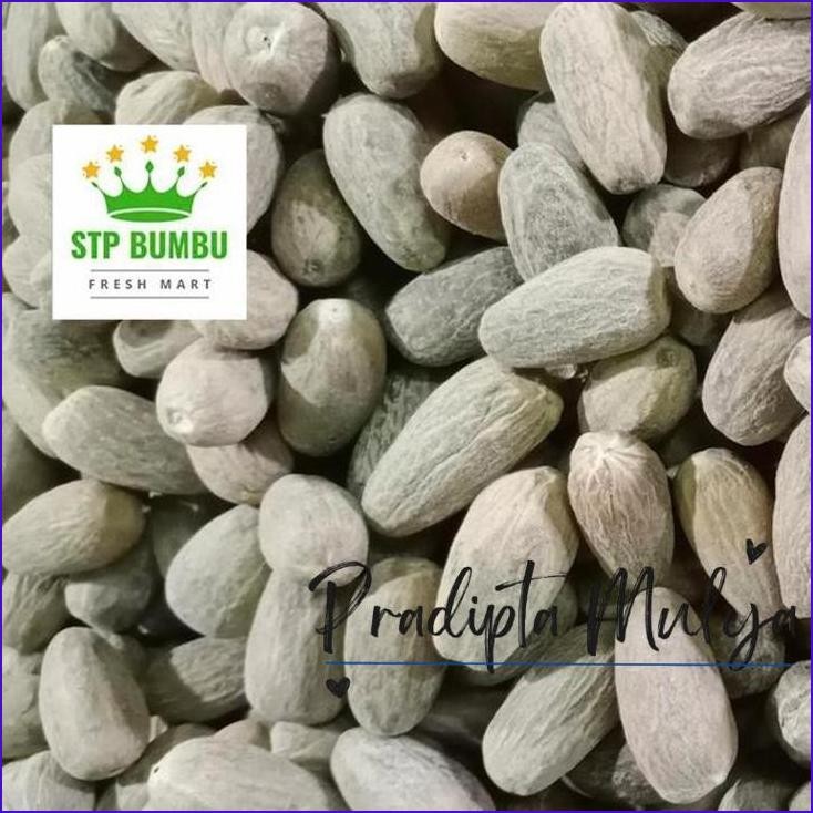 

Gass.! Biji Pala Panjang