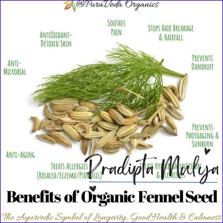 

Masih Ada.! Fennel Seeds 100Gram / Adas Manis 100Gram