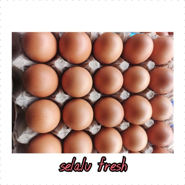 

TELOR AYAM NEGERI / TELUR AYAM NEGERI FRESH 1 KG