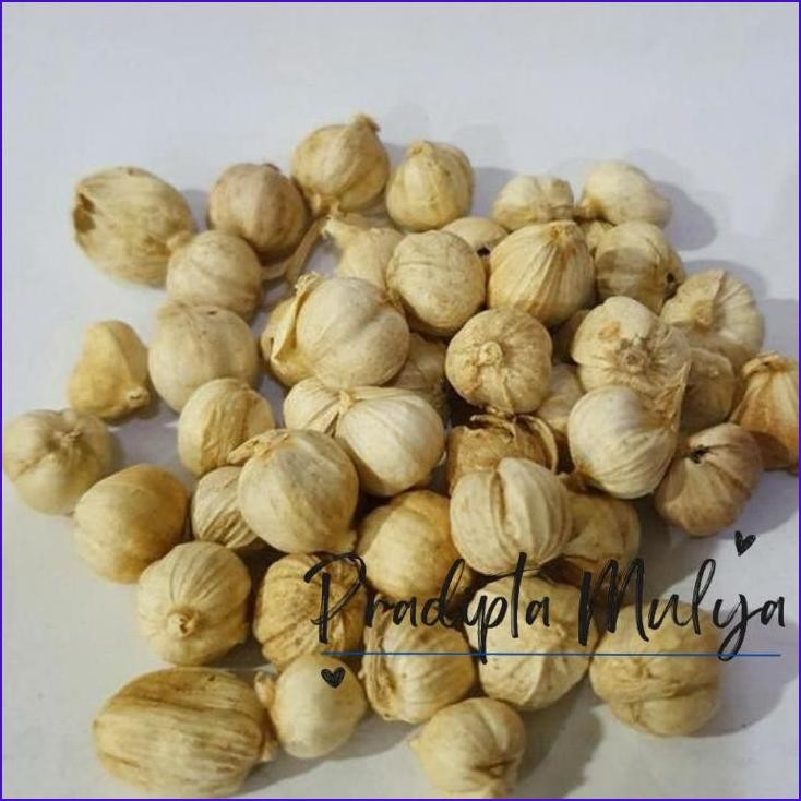 

Asli..! Kapolaga/Kapulaga 50Gram. Rempah Masakan