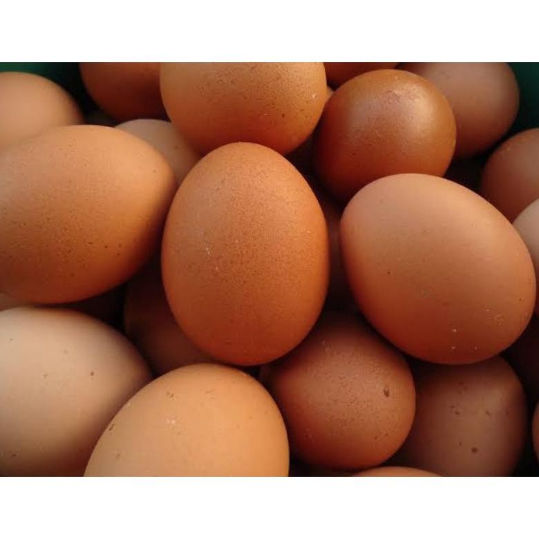 

TELUR AYAM LOKAL FRESH BANDUNG SEGAR & AWET LAMA